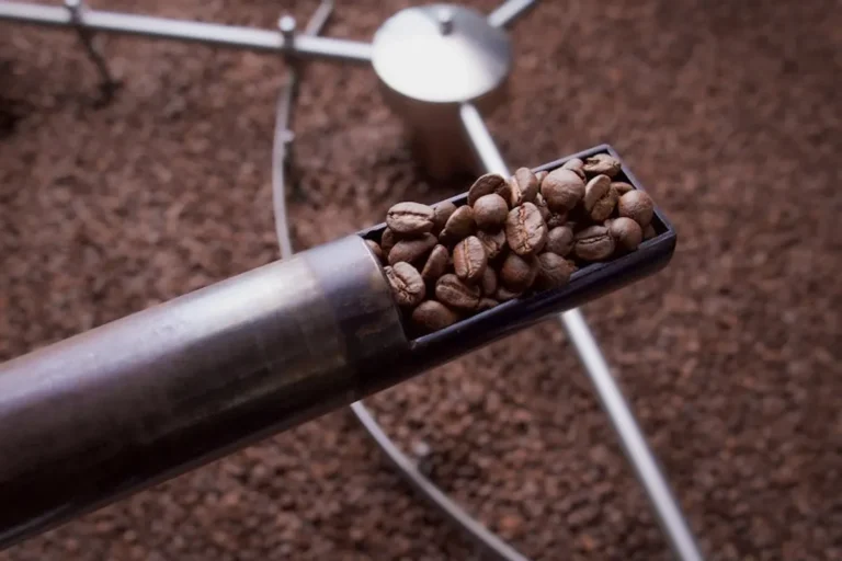 Coffee Beans: Beginner Guide