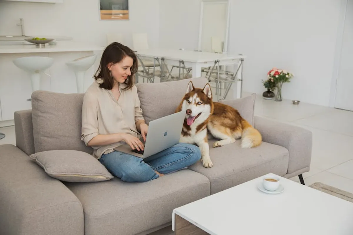 Dog friendly restaurants bournemouth: Complete Guide, Tips, Prices, and Things to Know