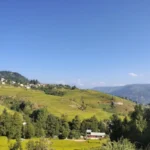Jibhi: Complete Guide, Tips, Prices, and Things to Know