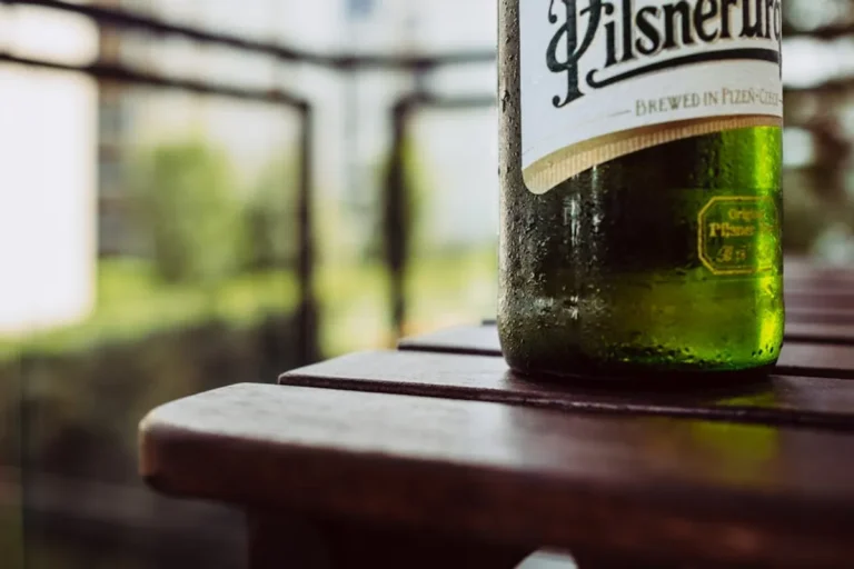Pilsner beer brands: Menu, Prices, Guide, and What to Try